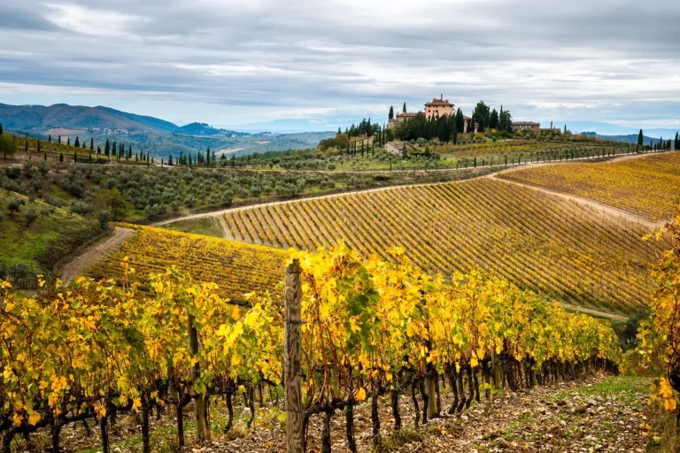 Chianti-panorama