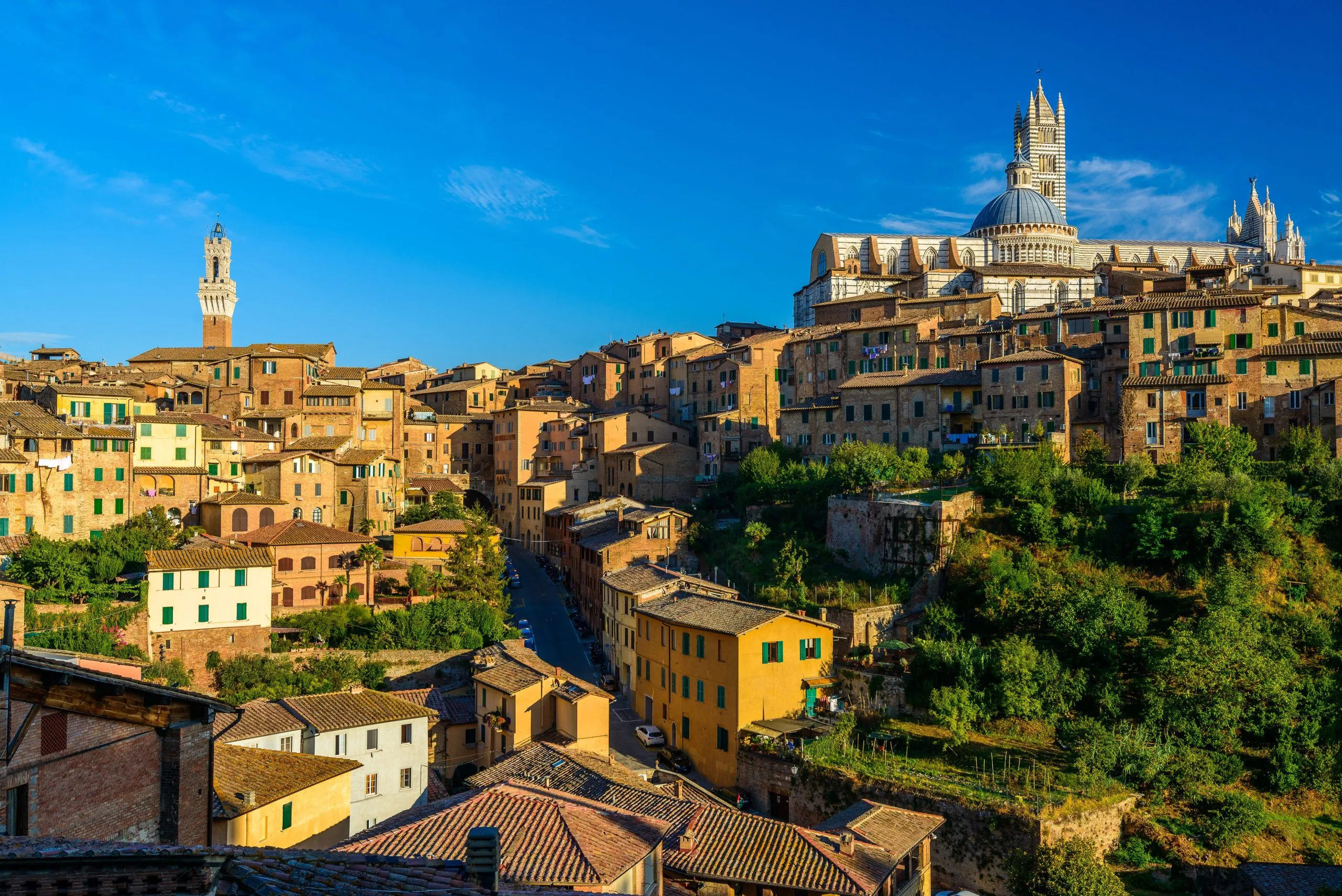 Siena hills panorama