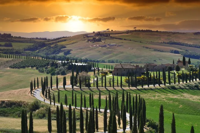 Toscana-grus